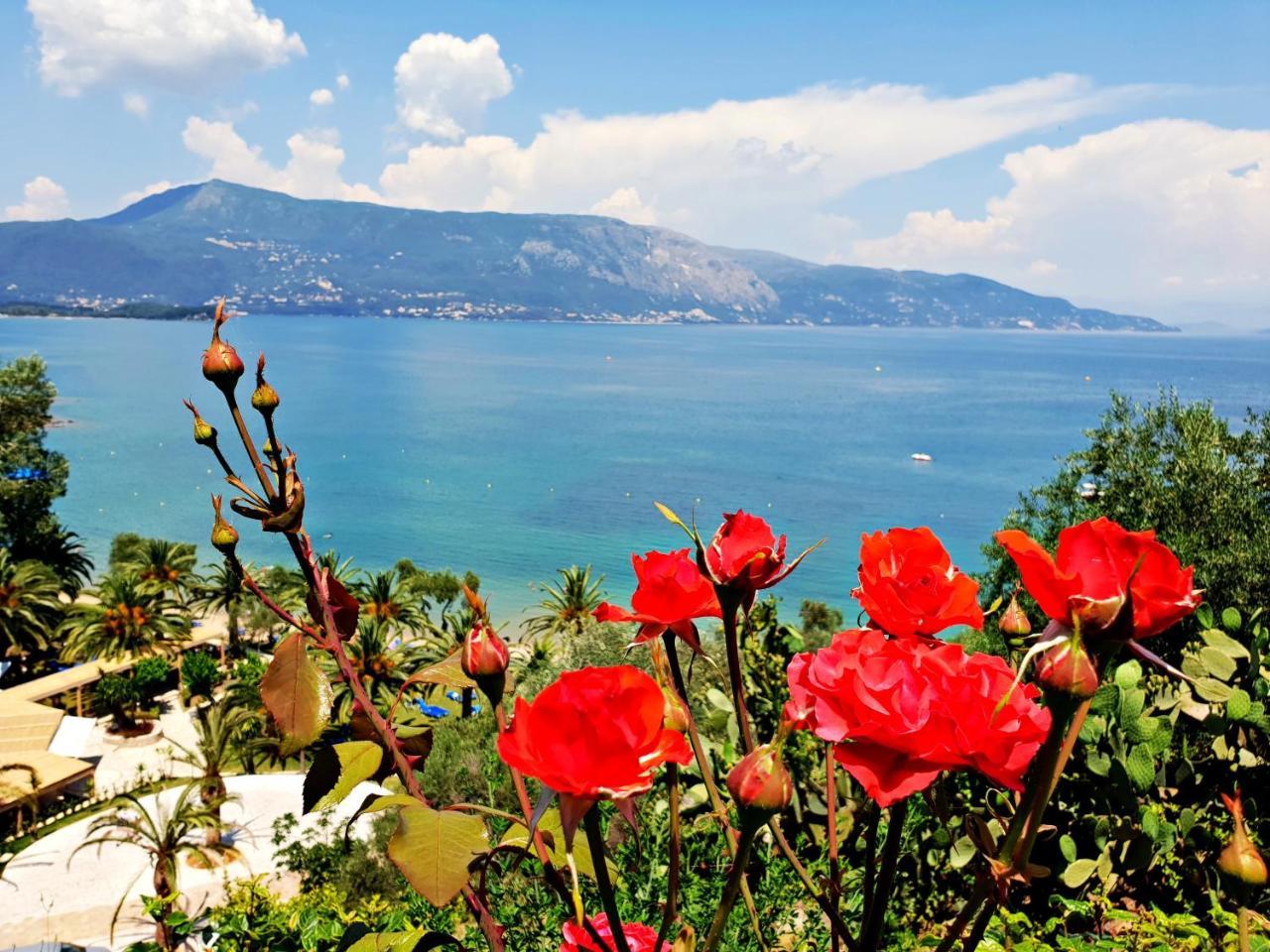 Guest house Dimitra Kommeno (Corfu)